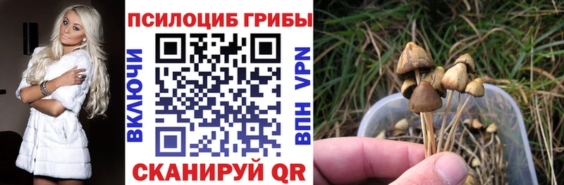 Псилоцибиновые грибы Psilocybine cubensis  Купить где  Мамадыш 